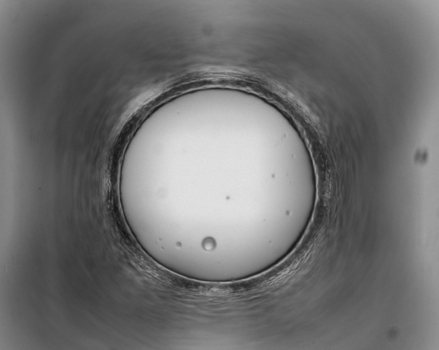 X0000100221261200806131306