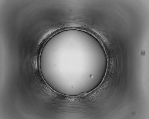 X0000100221262200806131306