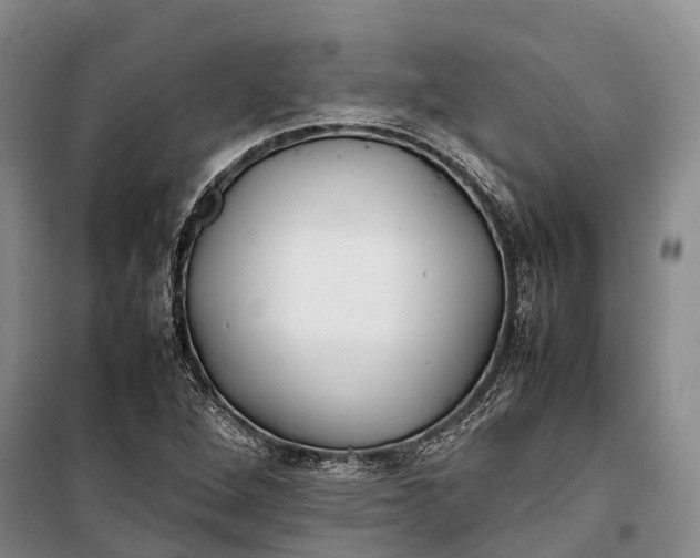 X0000100221264200806131306