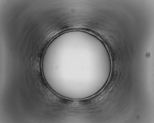 X0000100221265200806131306