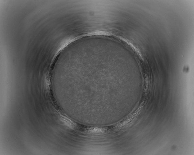 X0000100221266200806131306