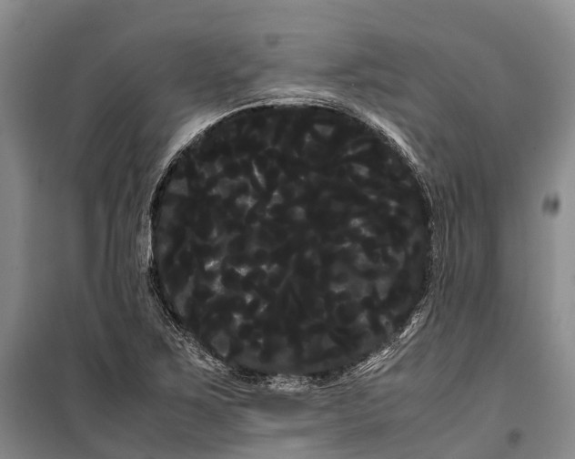 X0000100221267200806131306