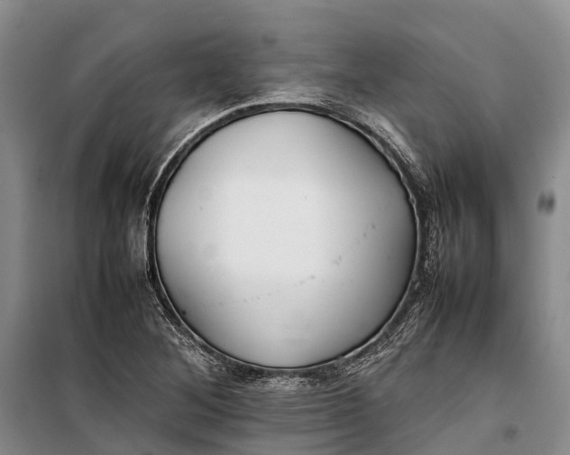 X0000100221268200806131306