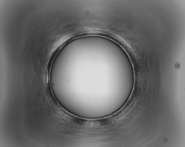 X0000100221269200806131306