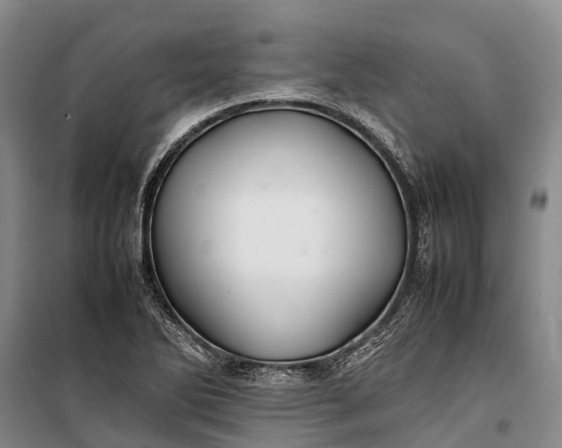 X0000100221270200806131306