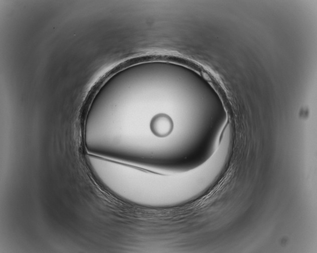 X0000100221271200806131306