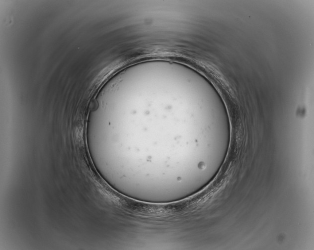 X0000100221273200806131306