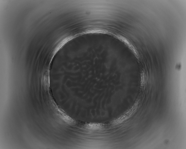 X0000100221274200806131306