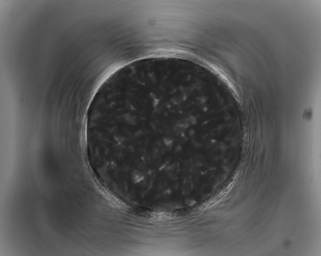 X0000100221275200806131306