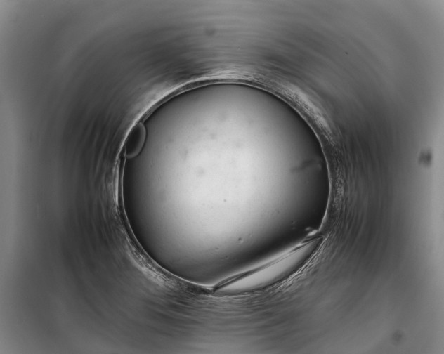 X0000100221276200806131306