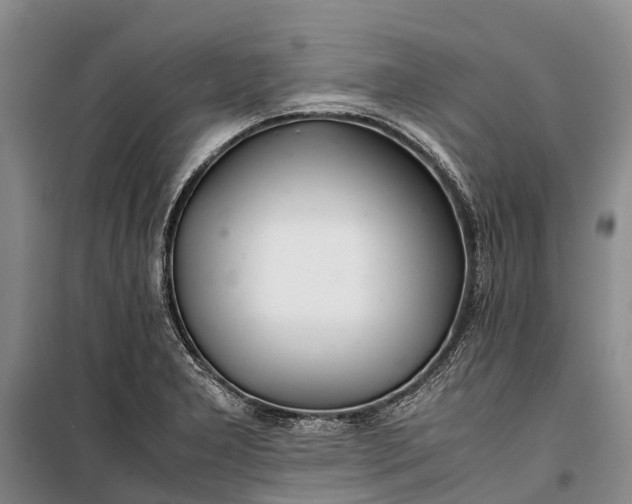 X0000100221277200806131306