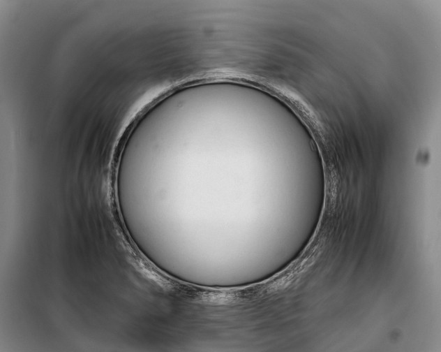 X0000100221278200806131306