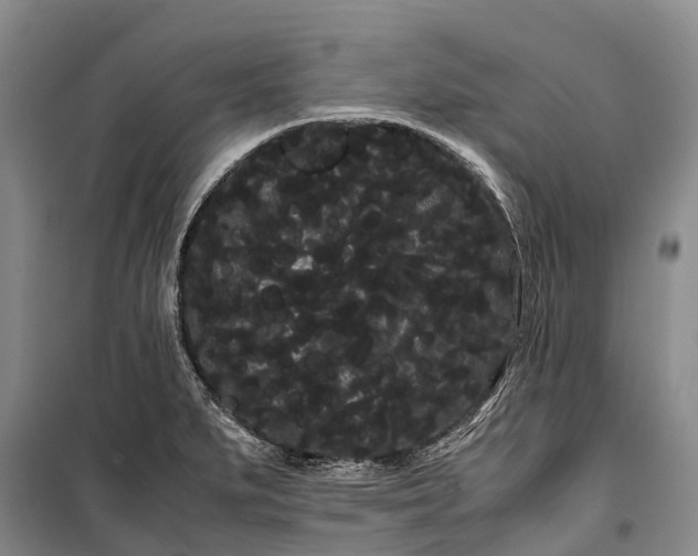 X0000100221279200806131306