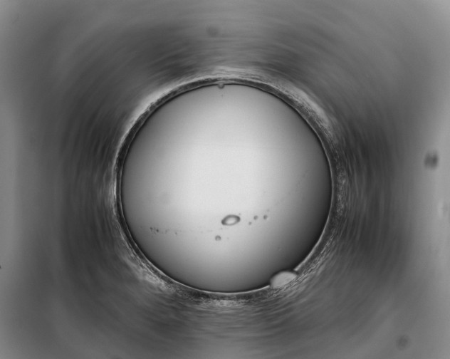 X0000100221280200806131306