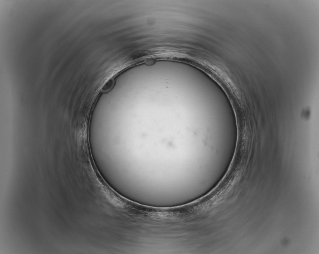 X0000100221281200806131306