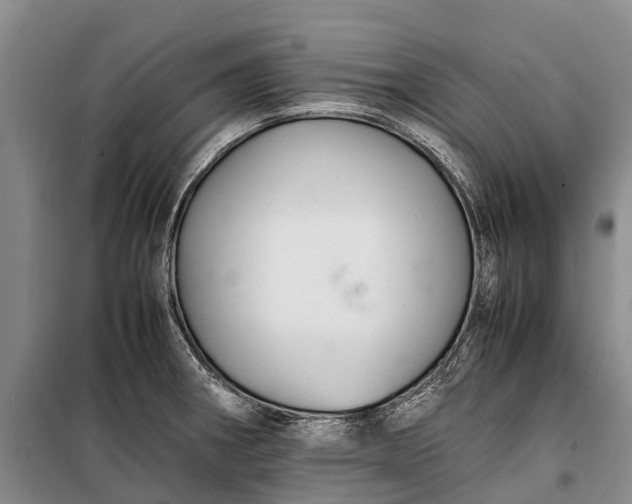 X0000100221282200806131306