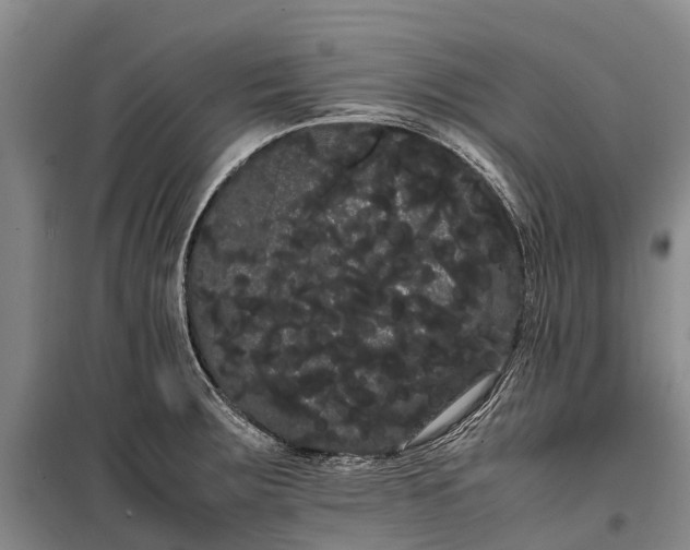 X0000100221283200806131306