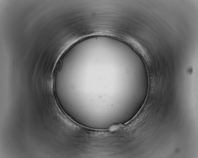 X0000100221284200806131306