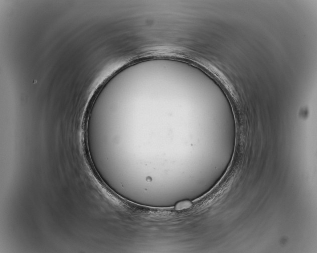 X0000100221285200806131306