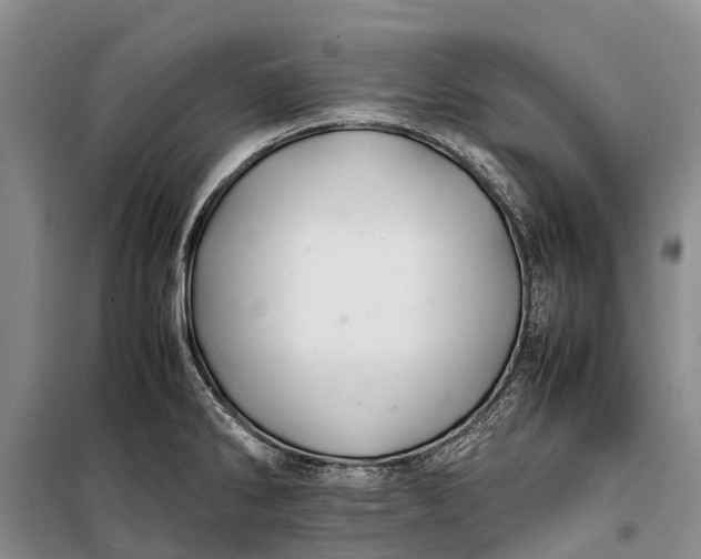 X0000100221286200806131306