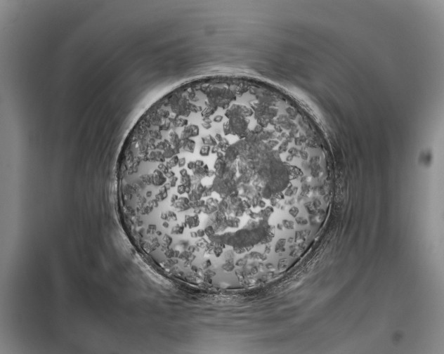 X0000100221287200806131306