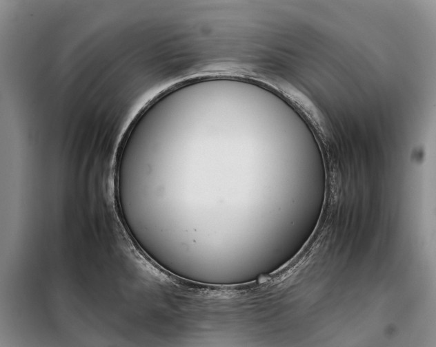 X0000100221288200806131306