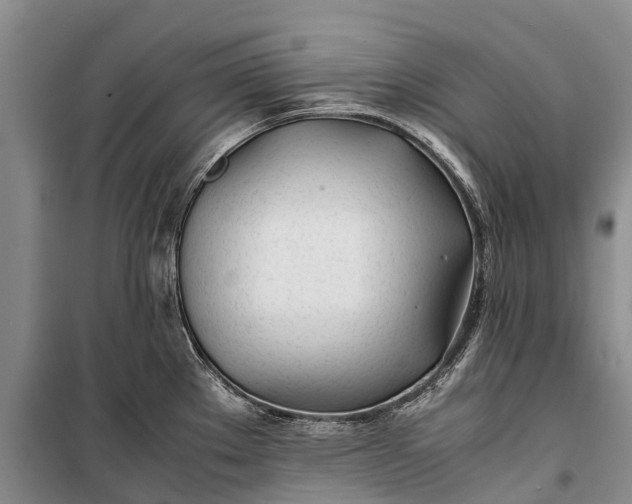 X0000100221289200806131306