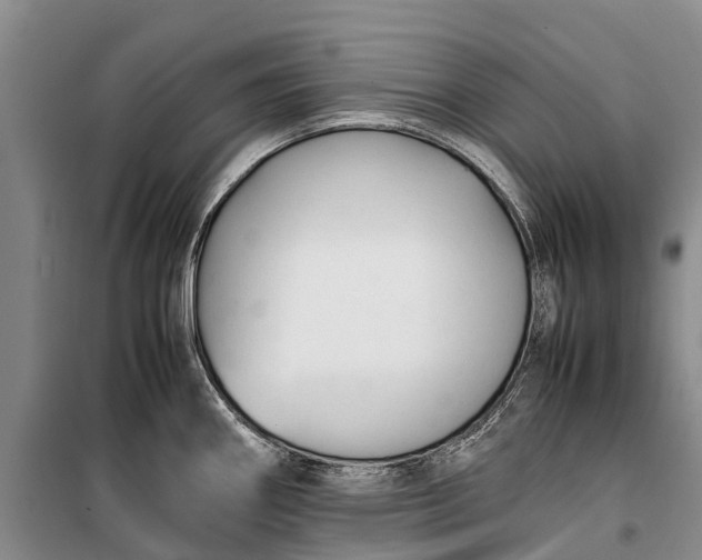 X0000100221290200806131306