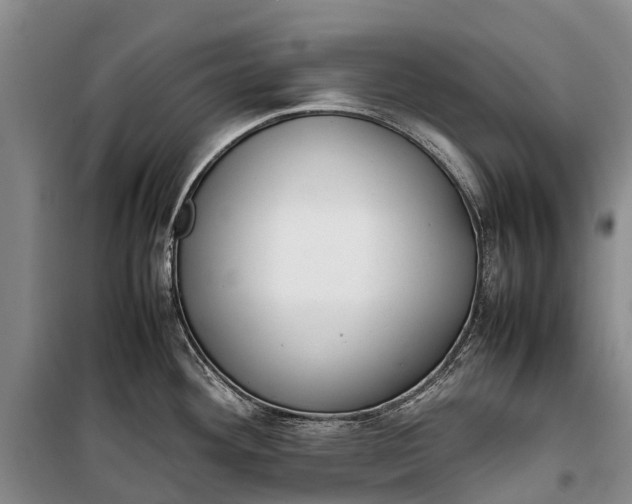 X0000100221292200806131306