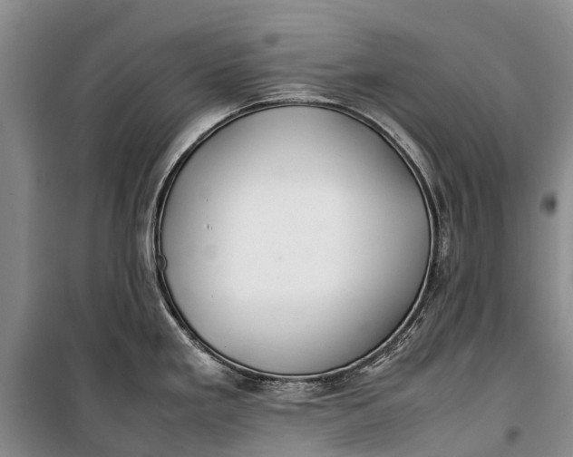 X0000100221293200806131306