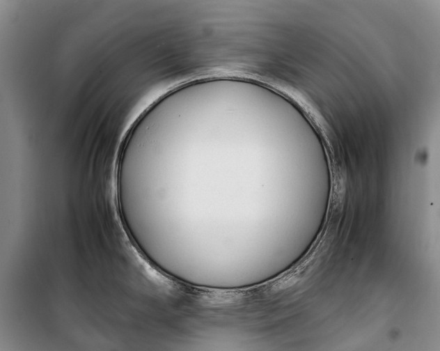 X0000100221294200806131306