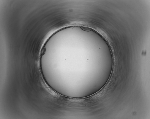 X0000100221296200806131306