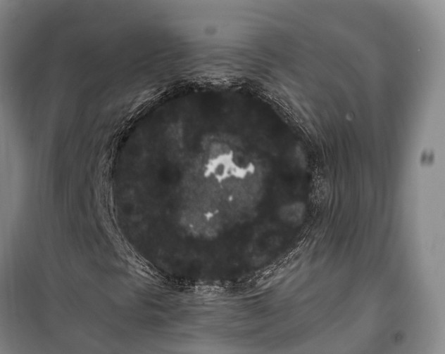 X0000100221297200806131305