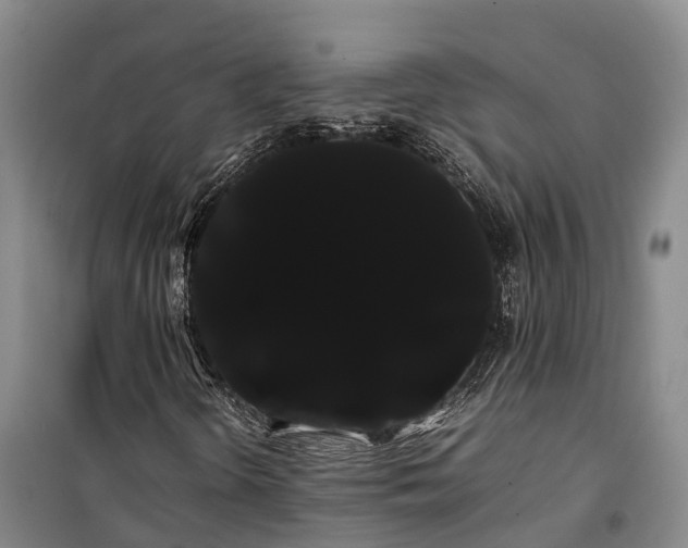 X0000100221298200806131305