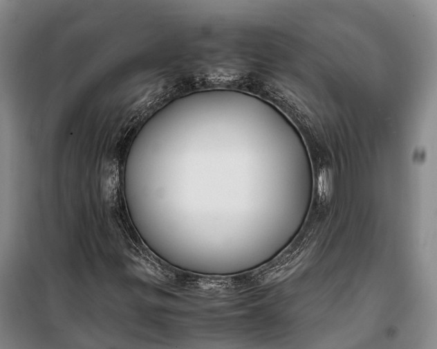 X0000100221299200806131305