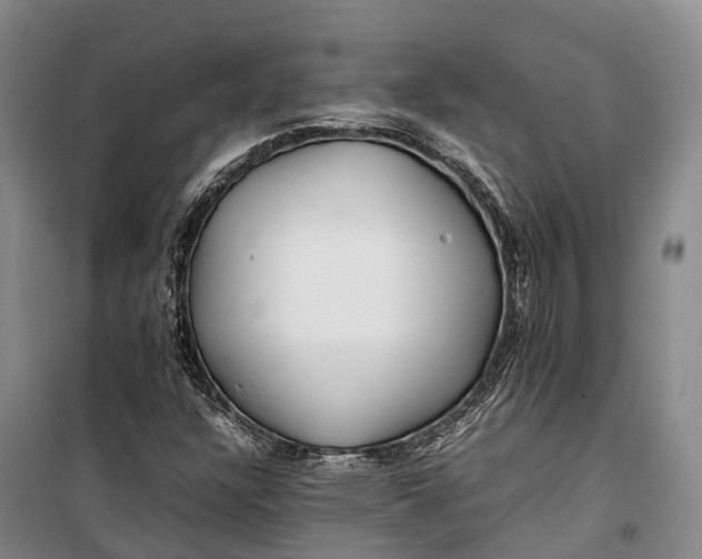 X0000100221304200806131305