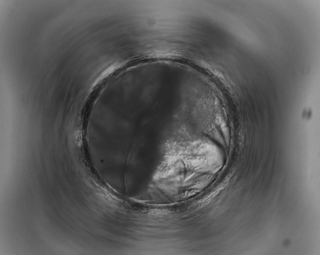 X0000100221306200806131305