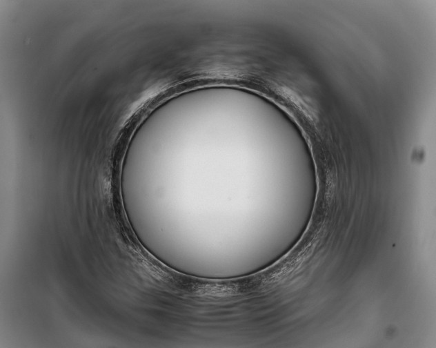 X0000100221307200806131305