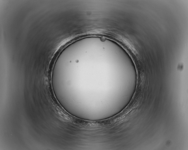 X0000100221308200806131305