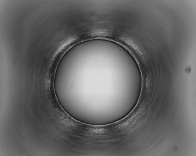 X0000100221309200806131305