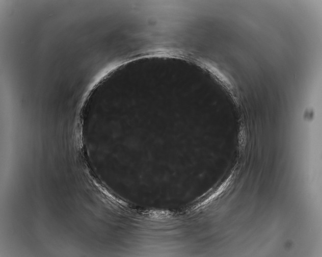 X0000100221310200806131305