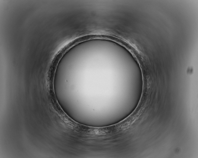 X0000100221311200806131305