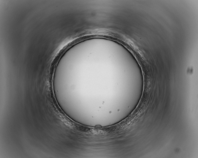 X0000100221312200806131305