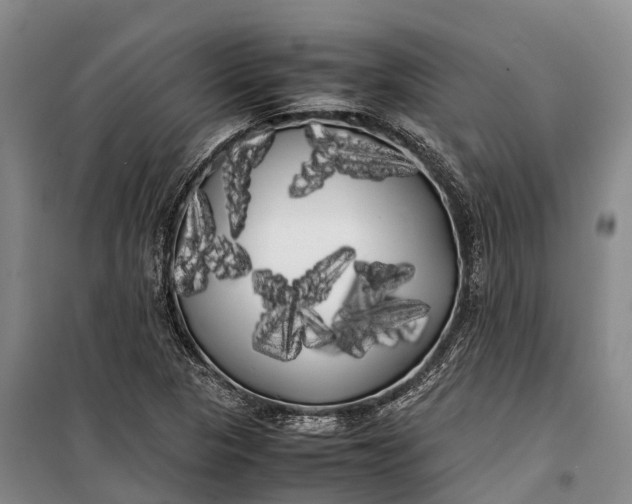 X0000100221313200806131305