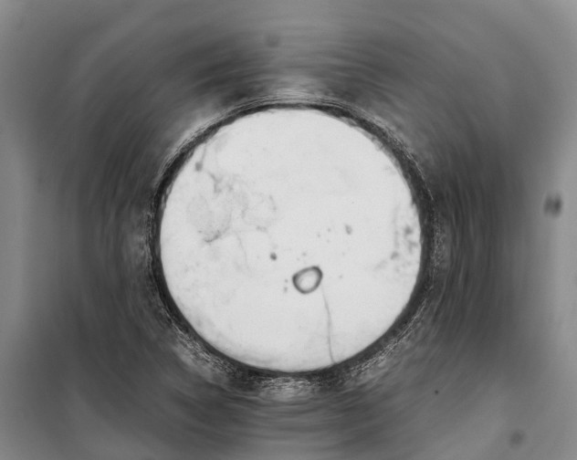 X0000100221314200806131305