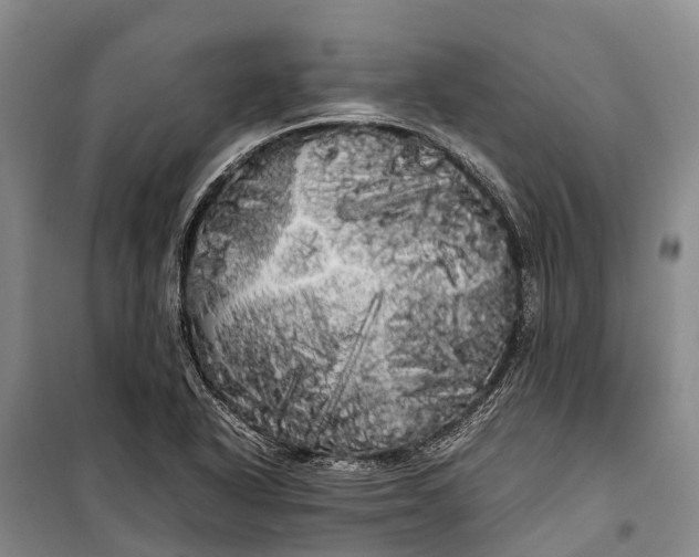 X0000100221318200806131306