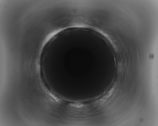 X0000100221319200806131306