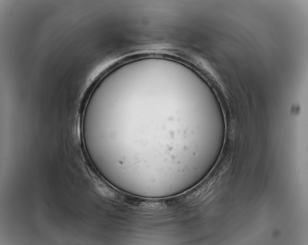 X0000100221320200806131306