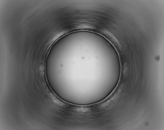 X0000100221321200806131306