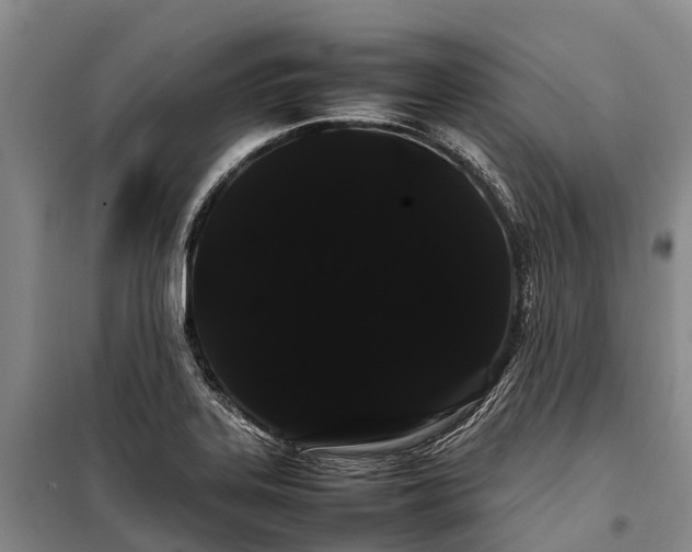 X0000100221323200806131306